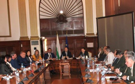 МЗХ събира предложения за новата Агенция по горите