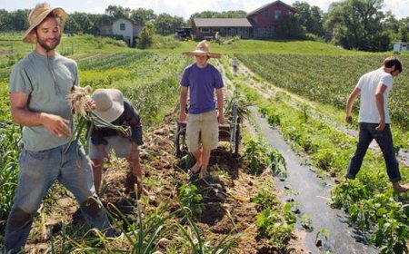 382 млади фермери получават финансова помощ от ДФЗ