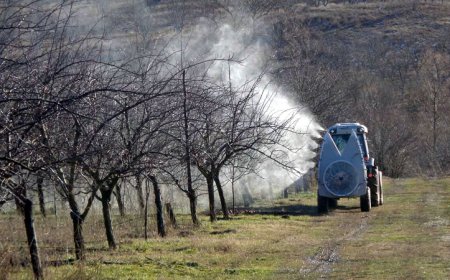 10 млн. лв. за зимните пръскания