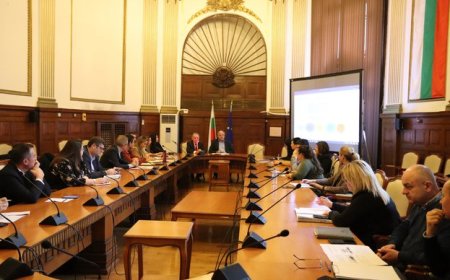 Вече има два варианта за нов Закон за ветеринарномедицинската дейност