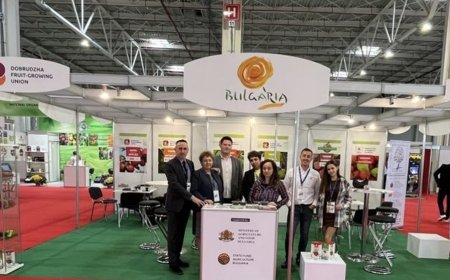 3,5 млн. лева е държавната помощ за участия в изложения