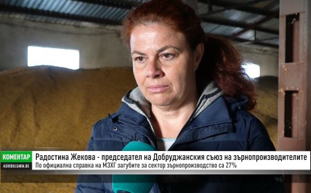 Радостина Жекова: Това което искаме да се случи са законови промени, които биха дали възможността на всички сектори да работят нормално