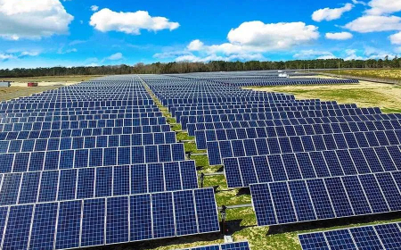 Депутатите отхвърлиха предложението общински и държавни земи да не могат да се отдават за изграждане на фотоволтаични паркове