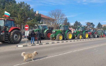 Земеделският протест с пътна блокада при село Карапелит