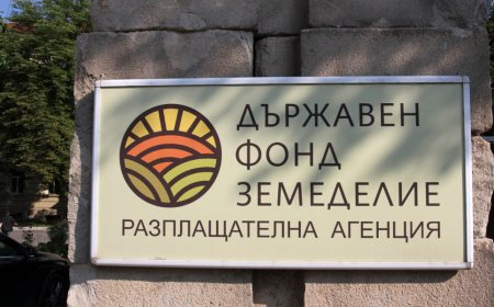 ДФЗ обяви индикативния график за превеждане на директните плащания