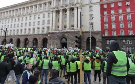 Фермерите протестираха под прозорците на властта
