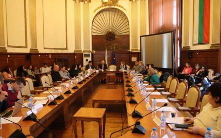 Около 300 хил. дка е свободният държавен поземлен фонд