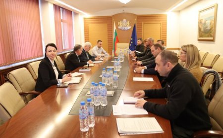 Производителите на гъби, черупкови плодове и трапезни картофи ще бъдат включени за подпомагане по de minimis