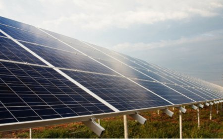 Протест в село Дюлево срещу фотоволтаици върху пасища и ниви