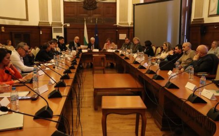 3000 дка са свободни за отглеждане на зеленчуци