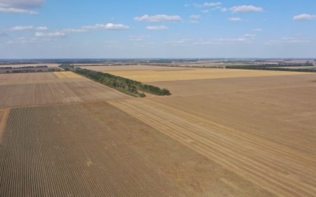 От 20 март стопаните могат да кандидатстват по държавната помощ заради войната в Украйна