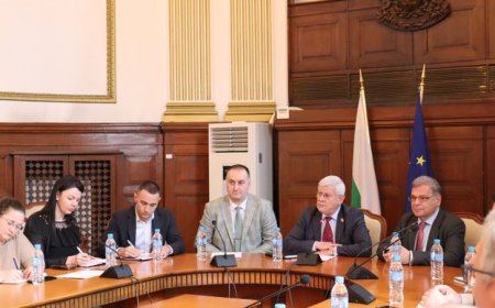 Предстои публикуване за обществено обсъждане на плановете за паша и местата за пашуването в националните паркове