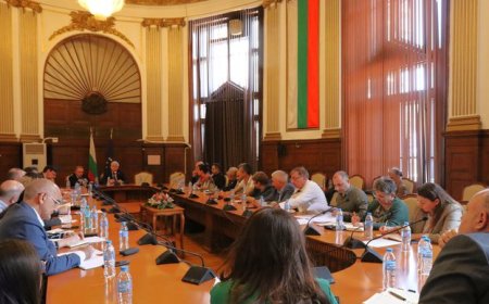 Производители на плодове и зеленчуци обсъдиха мерките за подобряване на конкурентоспособността на сектора