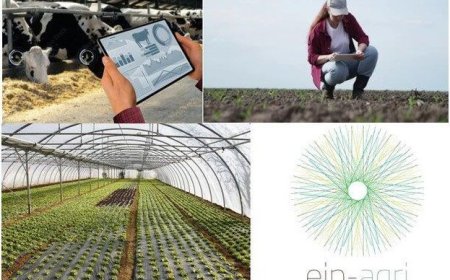 Удължава се срокът за изпълнение на одобрени проекти за иновации по подмярка 16.1 от ПРСР 2014-2020 г.