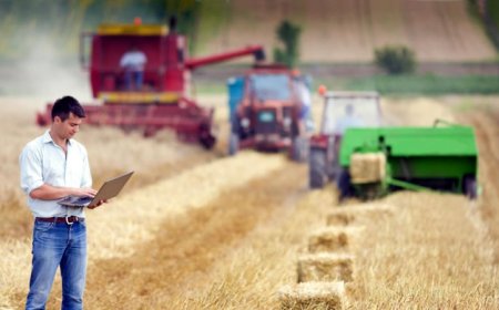 1558 предложения за изпълнение на инвестиции за технологична и екологична модернизация са одобрени за финансиране от НПВУ