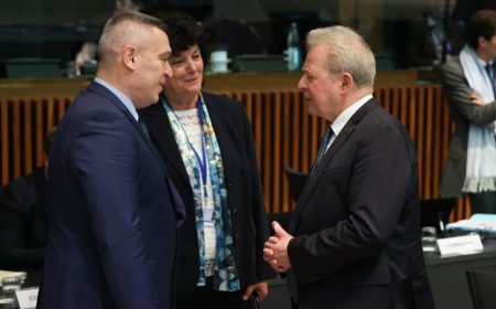 България подкрепя искането за увеличаване на тавана на помощта „de minimis“ в сектора на селското стопанство