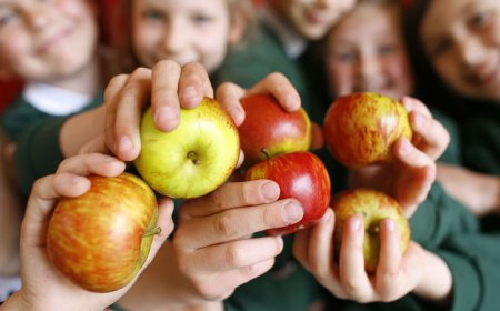 До 10 юни се удължава срокът за подаване на заявления по Училищните схеми