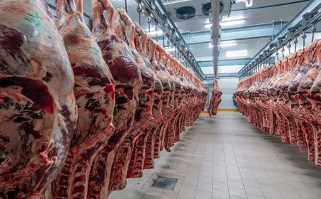 Отпускат се 1,1 млн. лева за реализация на българско говеждо месо