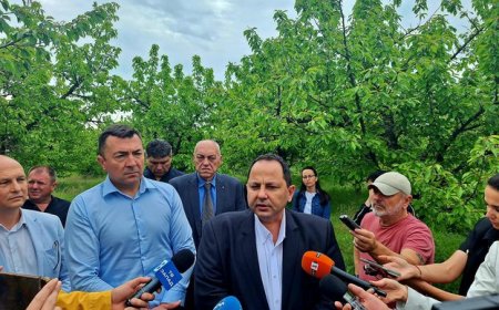 Над 300 000 декара под заплаха: земеделски стопани сигнализират за измръзване